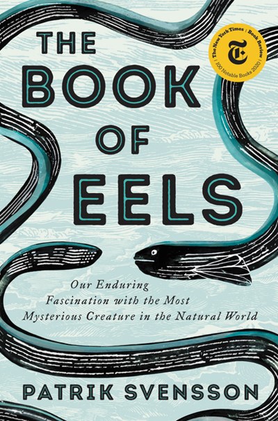 Book Cover for The Book of Eels