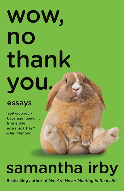 Book cover for Wow, No Thank You